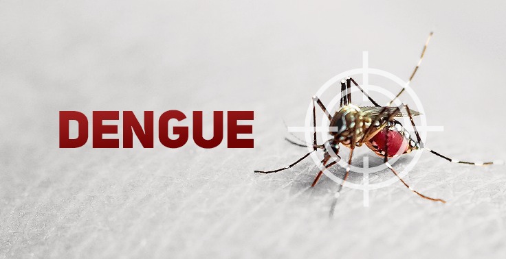 Santa Catarina intensifica estratégias de combate ao Aedes aegypti com uso de novas tecnologias