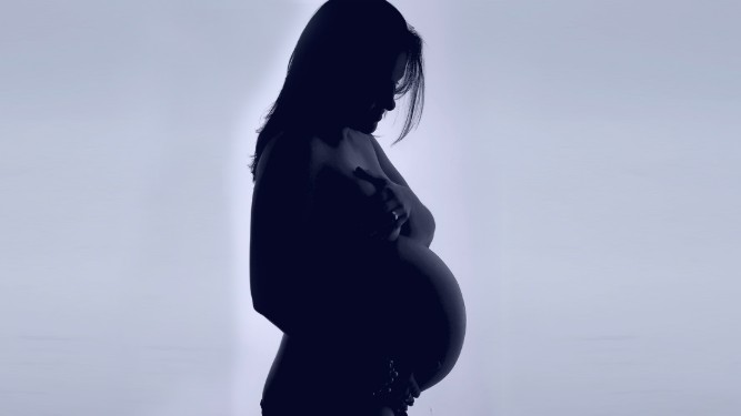 Silhueta de uma mulher grávida de perfil, com as mãos apoiadas na barriga, em fundo claro com tonalidade azulada.