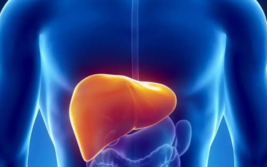 Secretaria de Estado da Saúde monitora dois casos suspeitos de hepatite de etiologia desconhecida em Santa Catarina