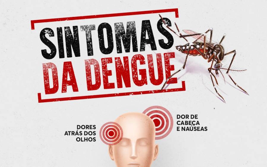 Dengue em SC: Secretaria de Saúde alerta população sobre os principais sintomas da doença