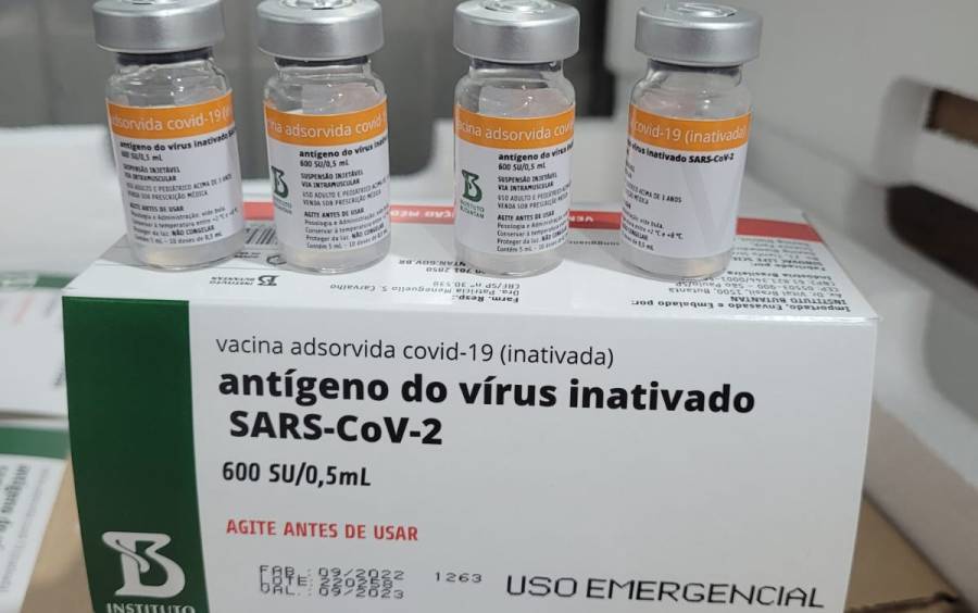 Santa Catarina recebe nova remessa de doses da Coronavac para a vacinação de crianças de 3 e 4 anos