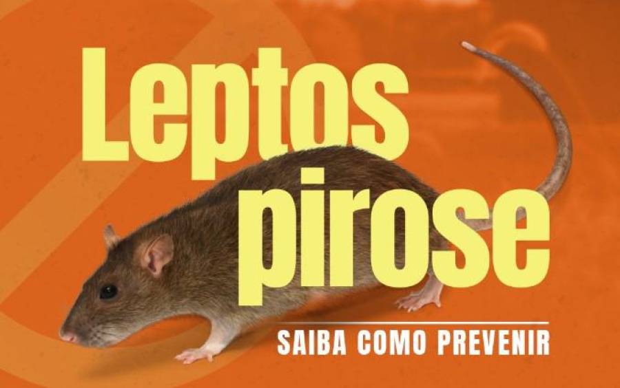 DIVE/SC reforça a importância da prevenção à leptospirose