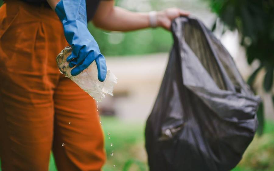 Sábado é dia D: Saúde convoca a população para a mobilização contra a dengue