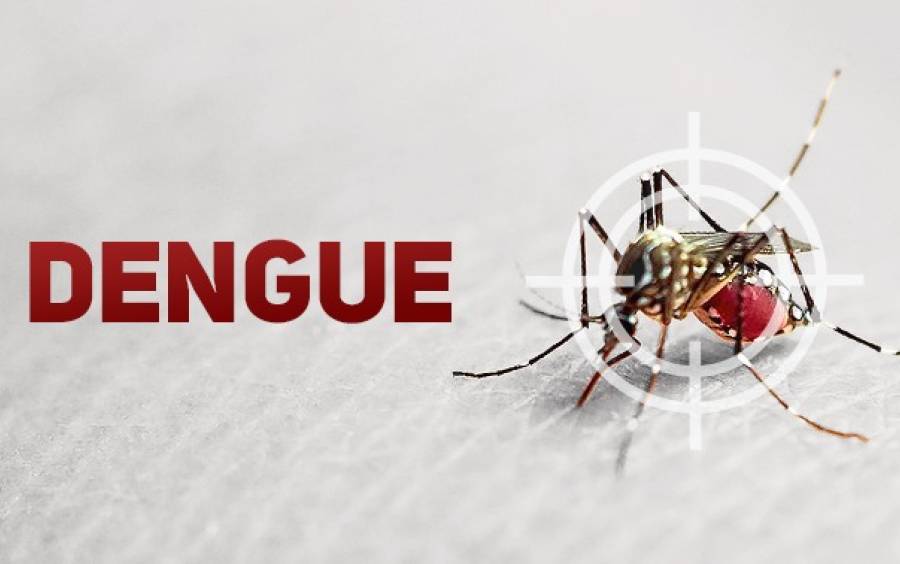 Santa Catarina intensifica estratégias de combate ao Aedes aegypti com uso de novas tecnologias