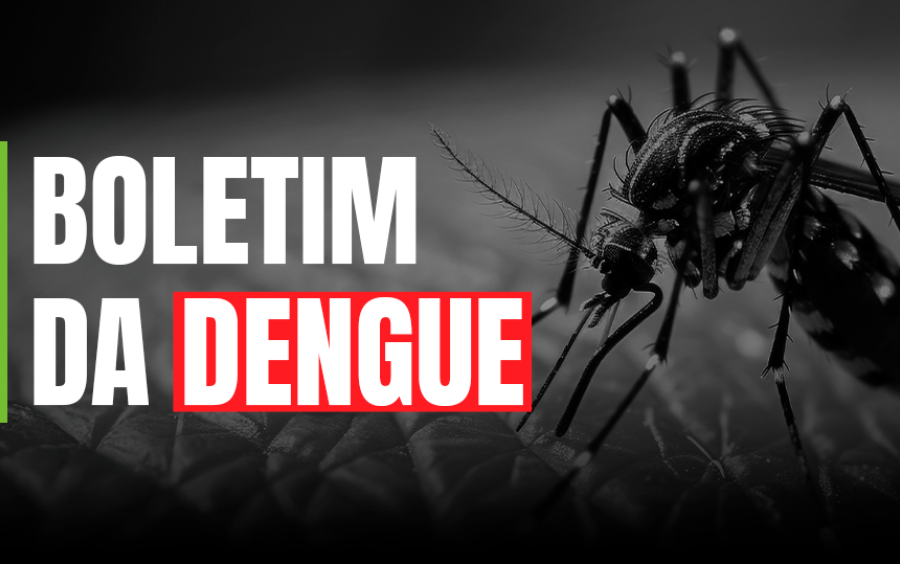 Dengue SC: Saúde registra mais de 52 mil focos do mosquito Aedes aegypti no estado