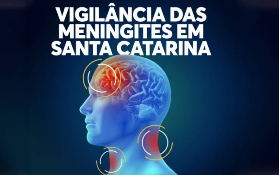 Santa Catarina registra aumento de casos de doença meningocócica