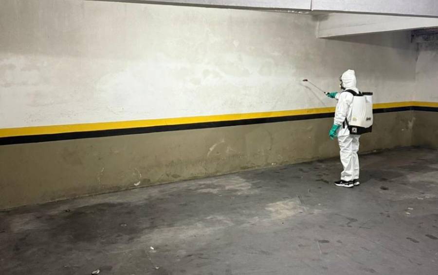 Dengue SC: Saúde realiza aplicação de inseticida nos prédios da SES e do LACEN para controle do mosquito Aedes aegypti