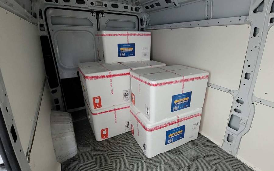 Com mais de 2 milhões de doses, Santa Catarina inicia nova distribuição da vacina contra a influenza