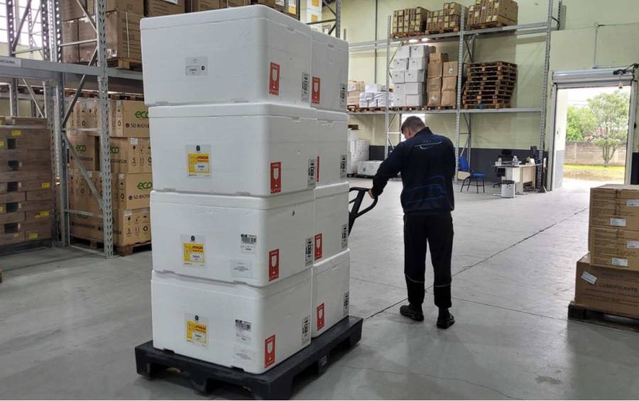 Santa Catarina inicia distribuição de mais 300 mil de doses e reforça pedido de vacinação contra a gripe 